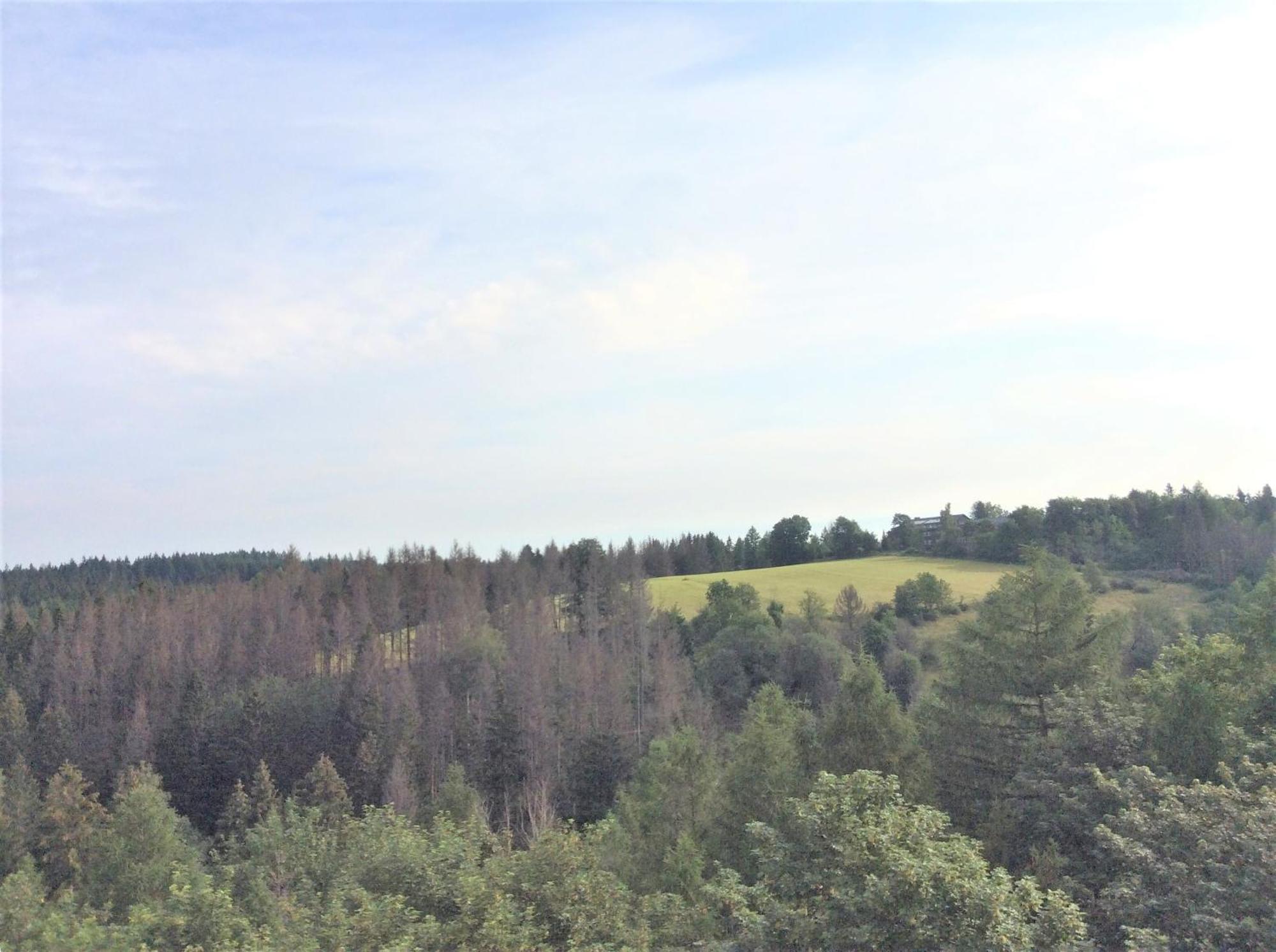 Ferienwohnung App 256 Braunlage Exterior foto